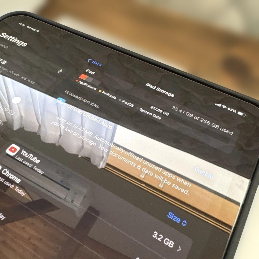 ぜ*ぃ様 iPad Pro 11インチ M4[256GB] セルラー SoftB