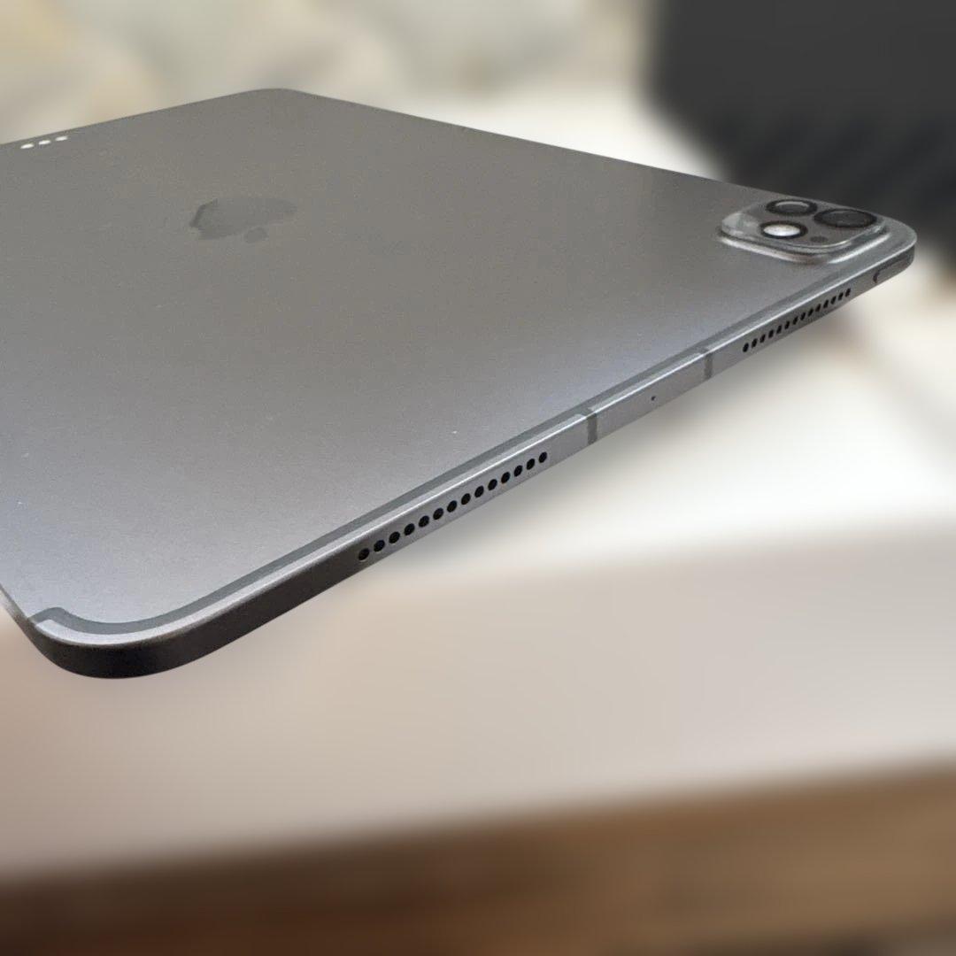 ぜ*ぃ様 iPad Pro 11インチ M4[256GB] セルラー SoftB