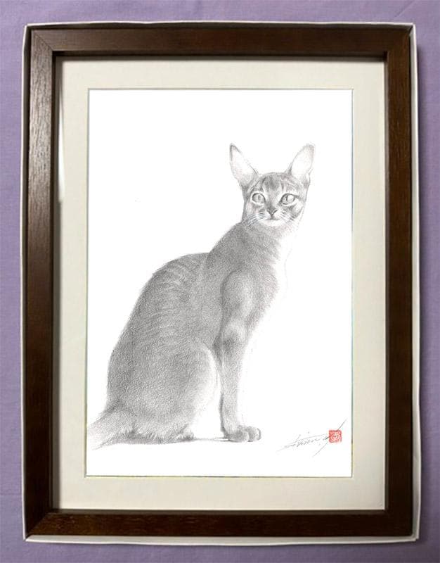 鉛筆アート「アビシニアン」オリジナル、真筆、1点物