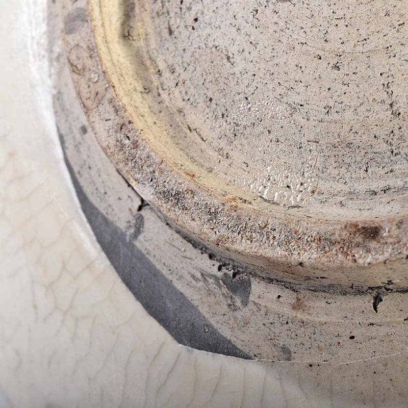 中国　赤絵　魚藻文盤　皿　V　R8757