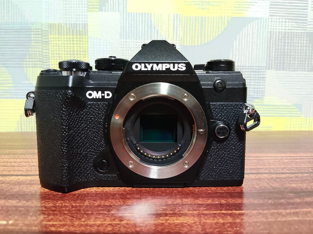 美品　OLYMPUS OM-D E-M5 Mark III ハンドグリップ付