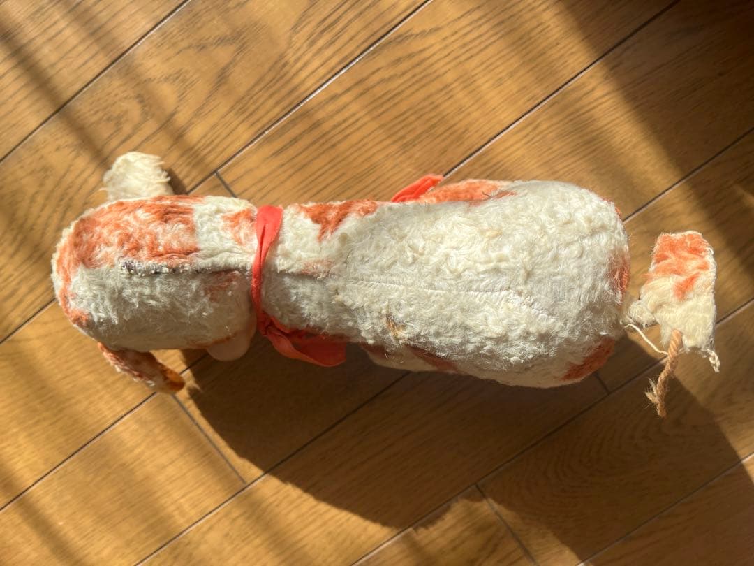 ラシュトン　ラバーフェイス　Rushton Star Creation