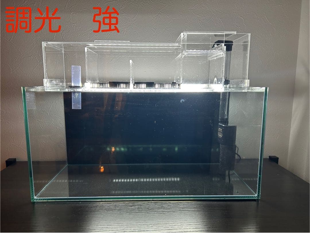 まりもアクリル水槽