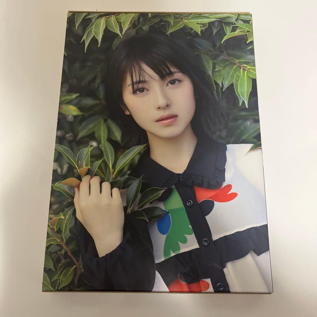 浜辺美波　日経BP SHOP限定　特装版　気ままに美波　直筆サイン付きセット