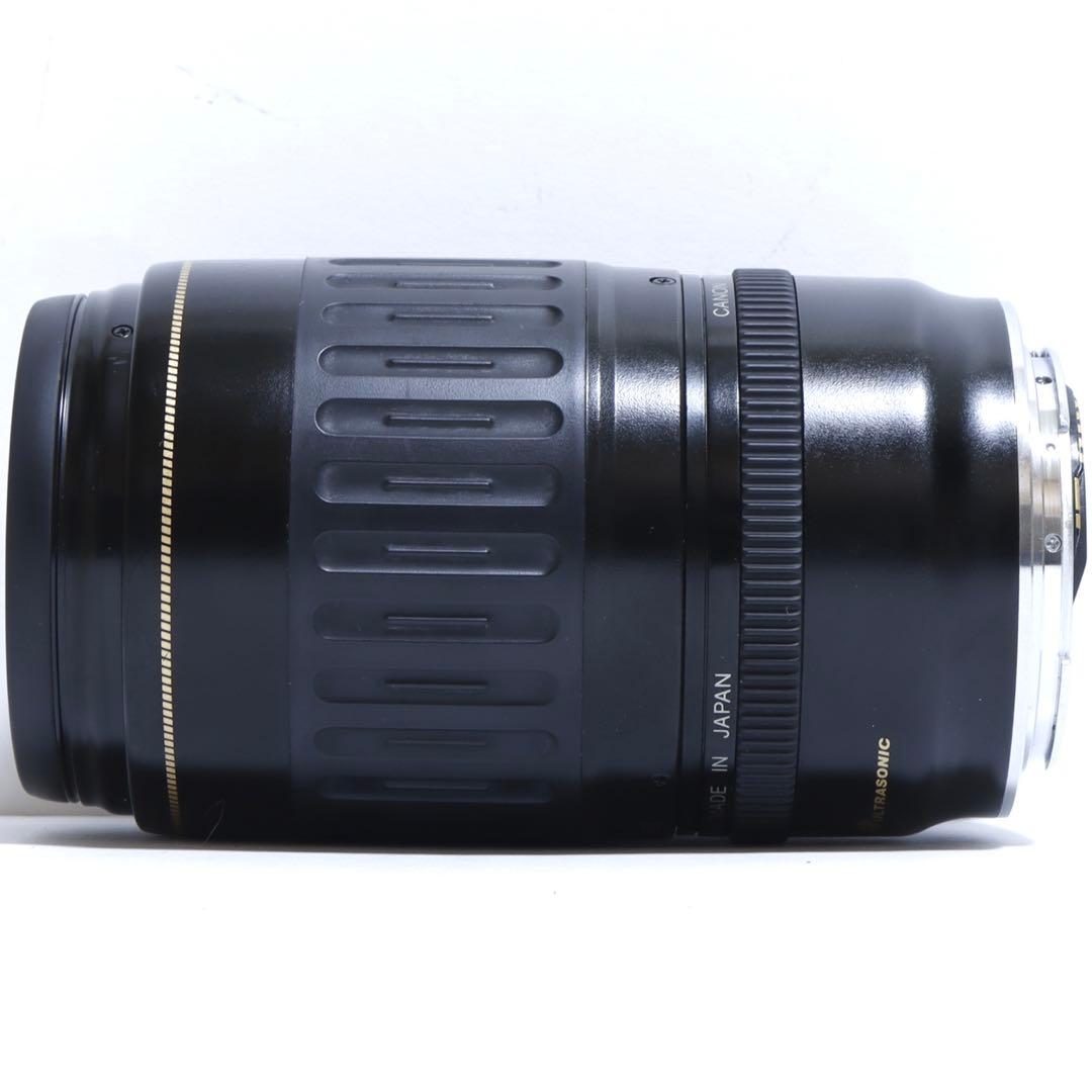 ◇超望遠&高速AF◇ Canon純正 300mm 超望遠レンズ!!◇