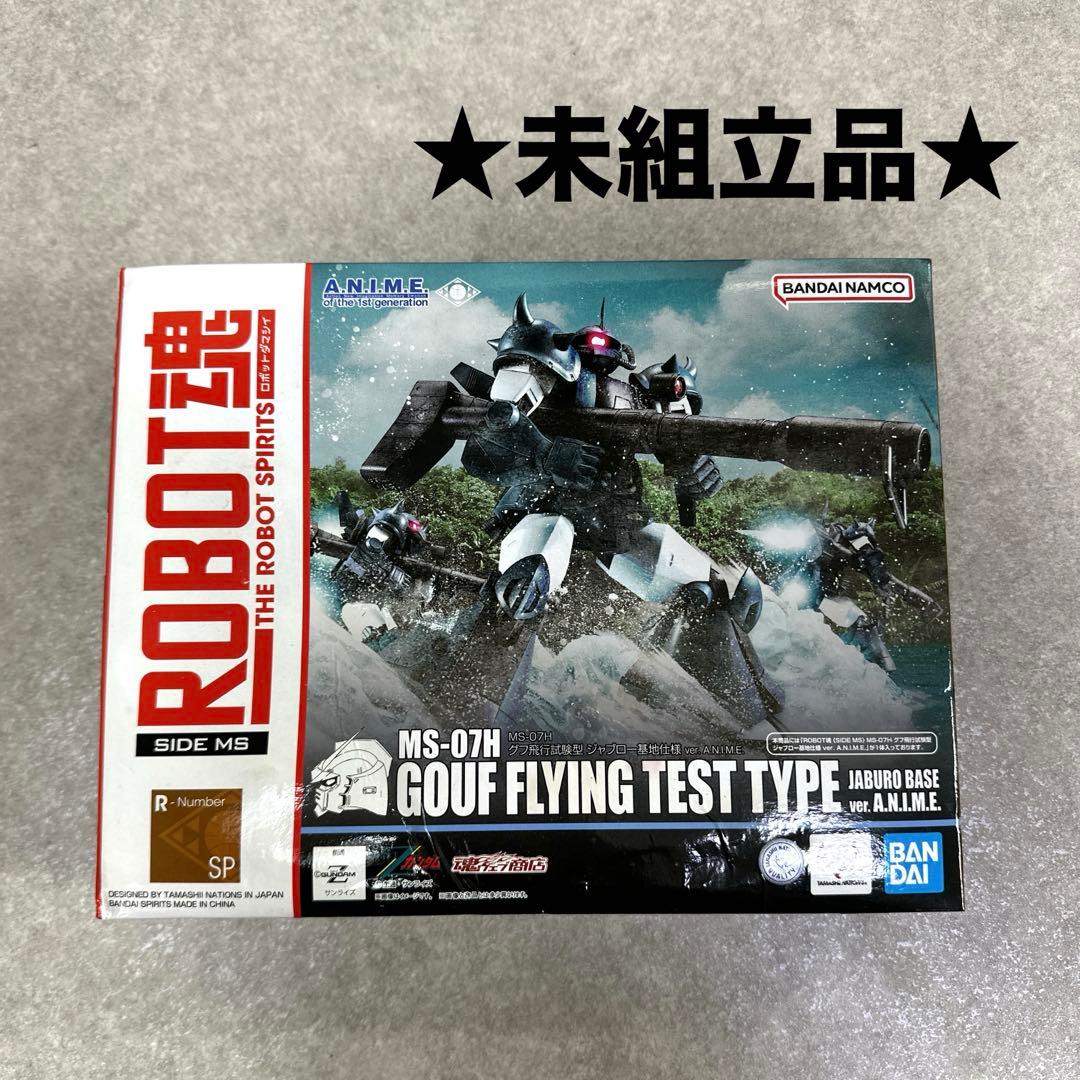 ★未組立★ グフ飛行試験型 ジャブロー基地仕様ver. A.N.I.M.E.