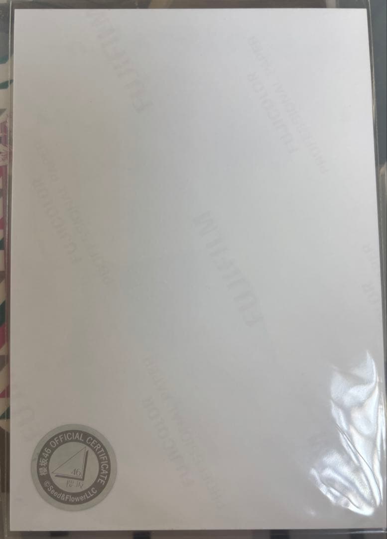 向井純葉　2024年クリスマスサンタ　直筆サイン 悪用防止のためモザイクしてます
