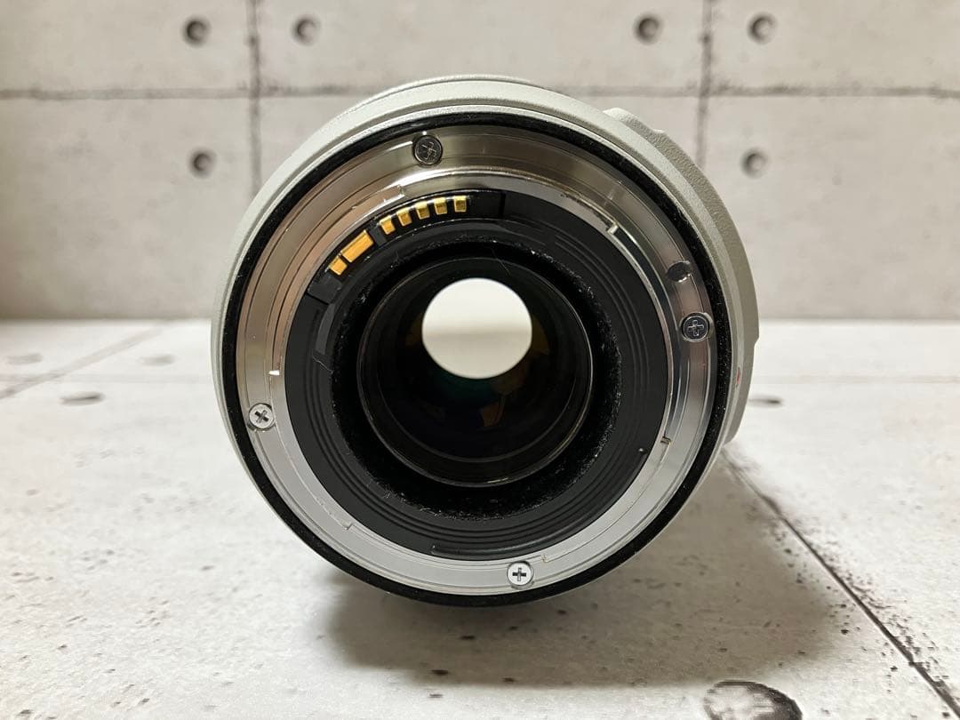 Canon EF 70-300mm f/4-5.6L IS USM フード付美品