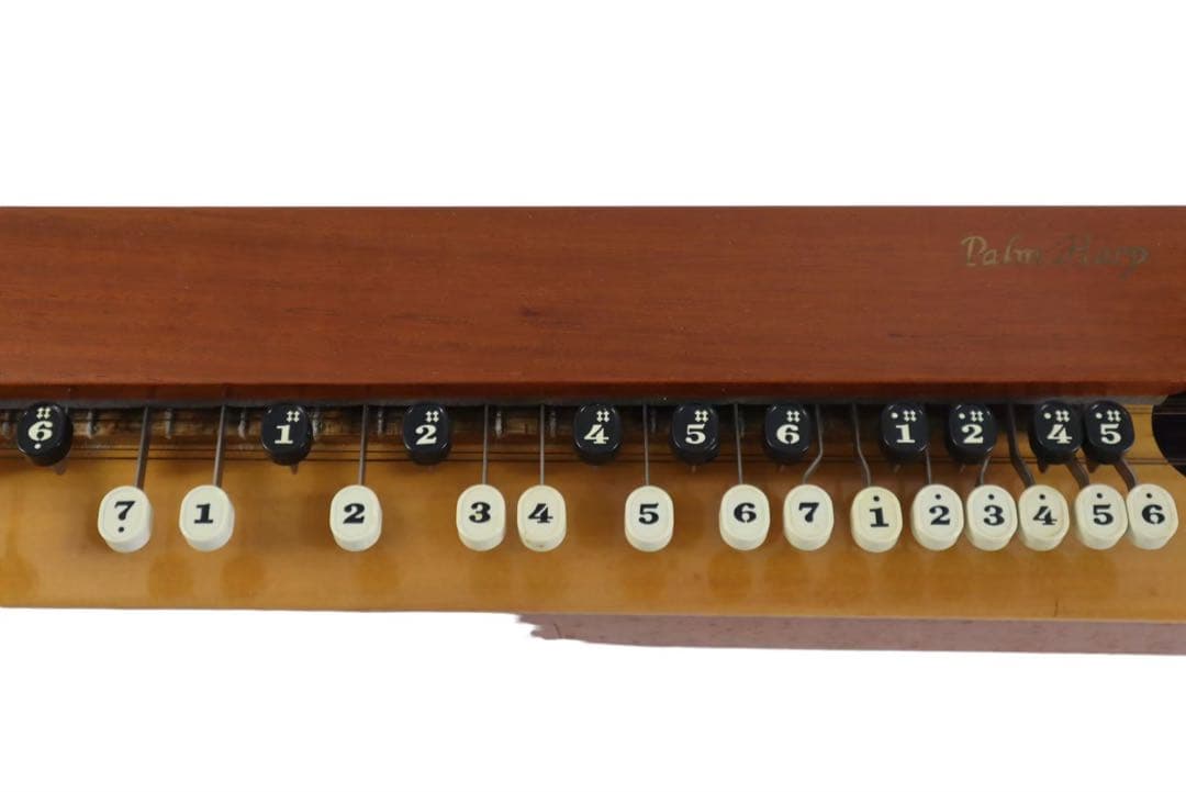 大正琴 PALM HARP ハードケース付き 簡易動作確認済み