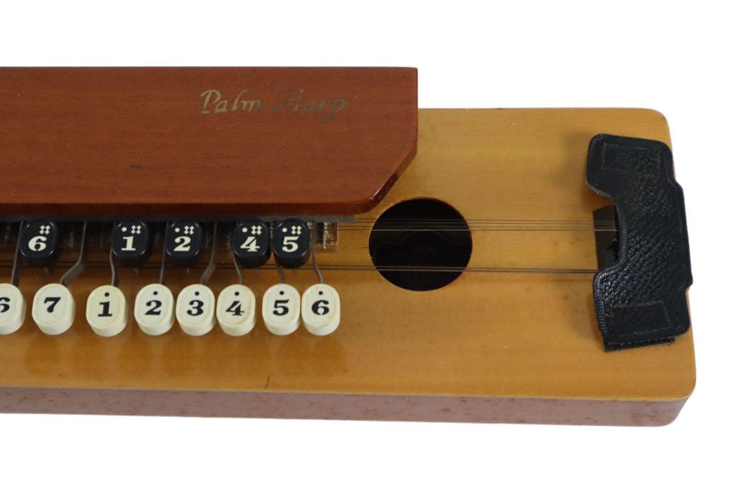 大正琴 PALM HARP ハードケース付き 簡易動作確認済み