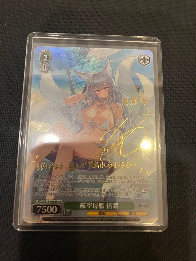 美品　【ヴァイス】航空母艦 信濃 SP