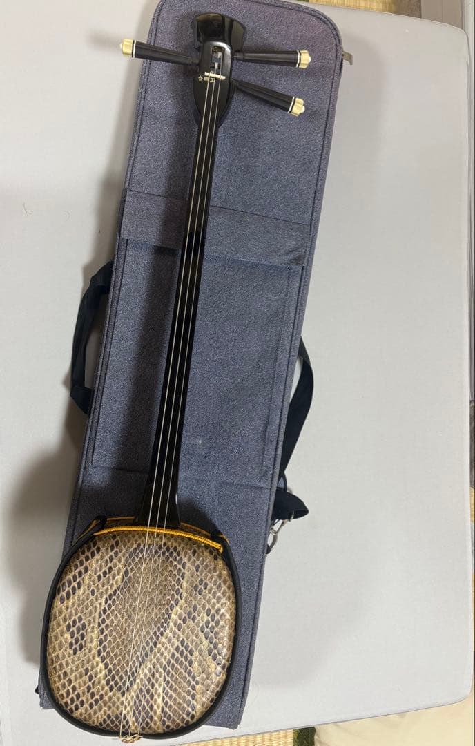 三線 本体 ヘビ柄 ケース付き