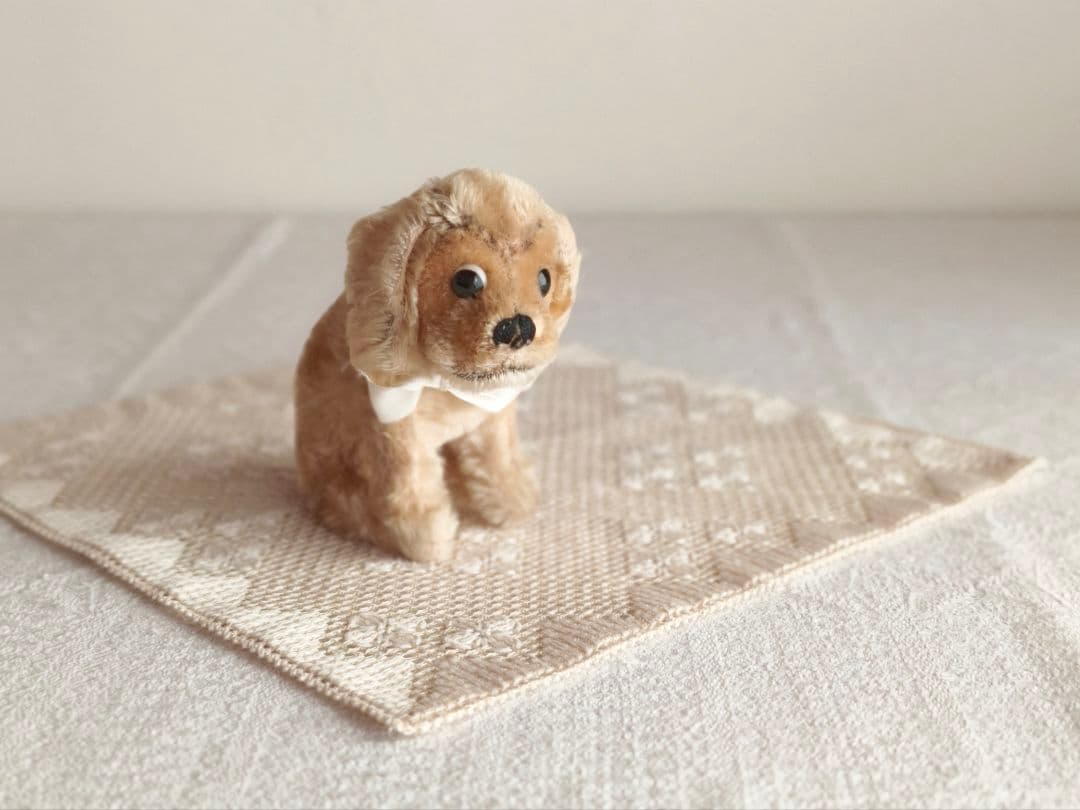 * vintage dogl ❀ きょとんとしたお顔が 可愛い ワンちゃん