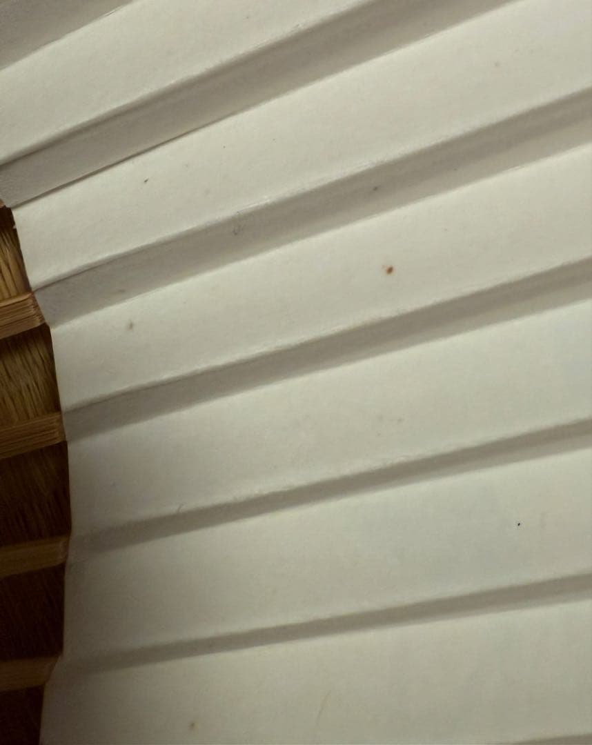 囲碁棋士　羽根直樹直筆扇子二点セット