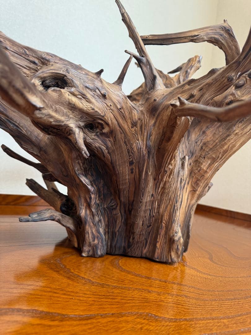 とても美しい流木　特大　水槽　インテリア　美術品　アクアリウム　中庭　玄関