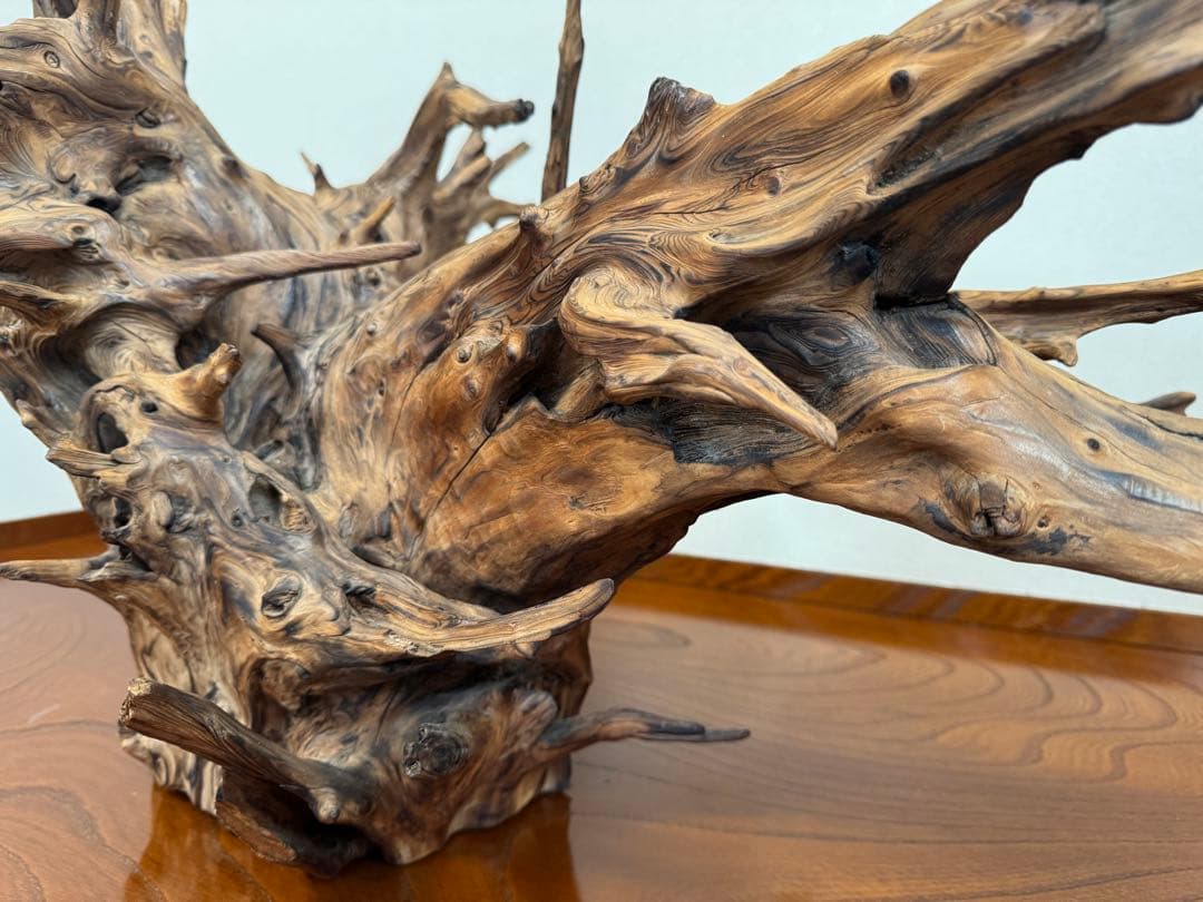 とても美しい流木　特大　水槽　インテリア　美術品　アクアリウム　中庭　玄関