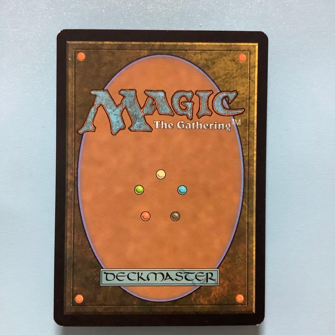 マイコシンスの格子/Mycosynth Lattice  DST英語foil