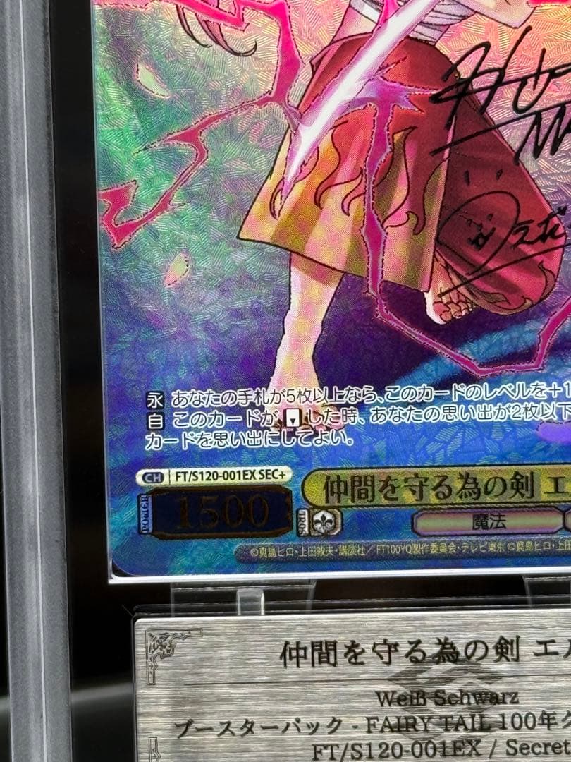 仲間を守る為の剣 エルザ SEC＋　ARS10＋　100年クエスト