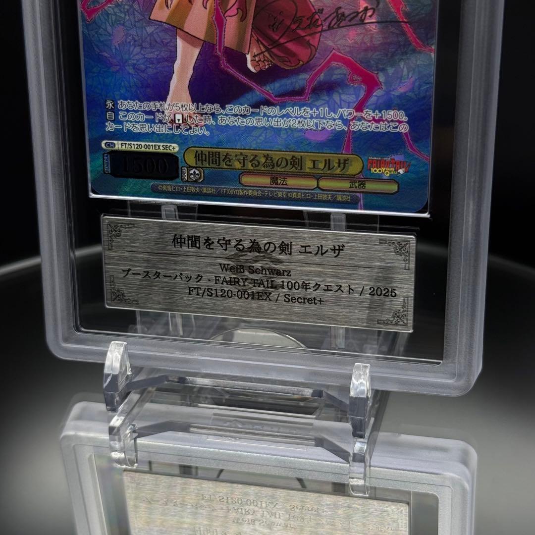 仲間を守る為の剣 エルザ SEC＋　ARS10＋　100年クエスト