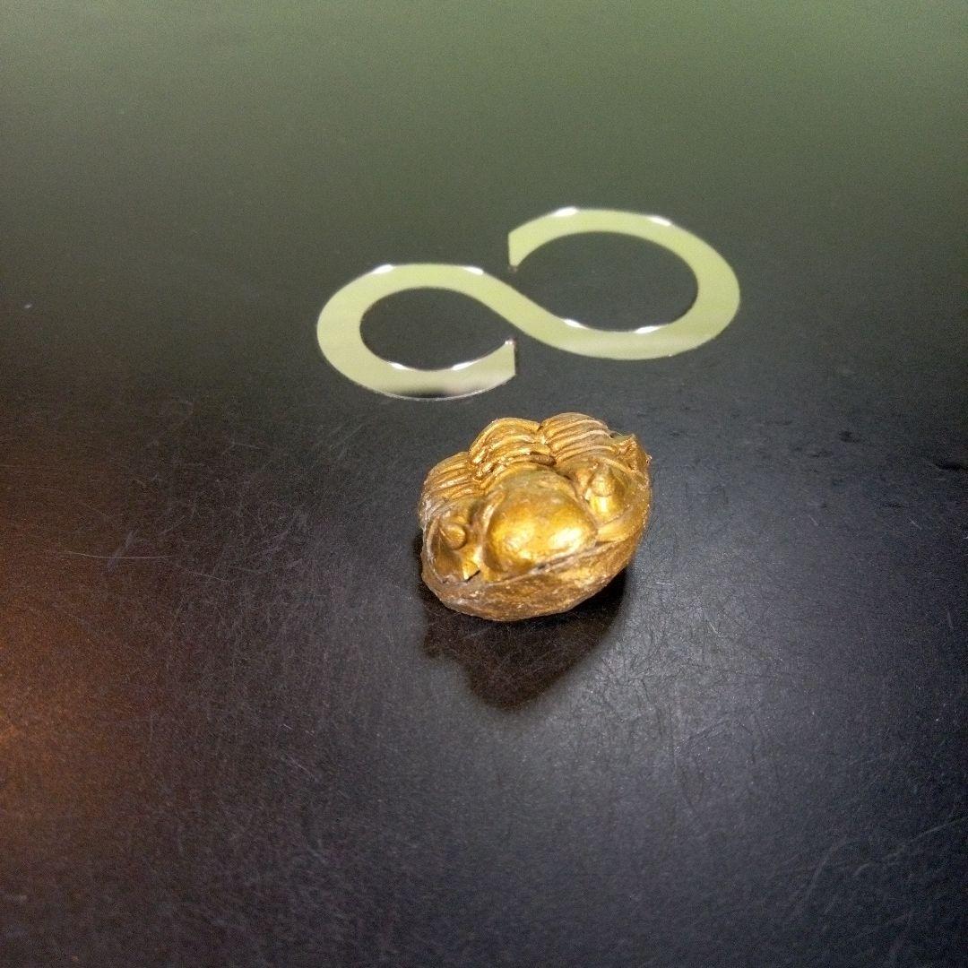 三葉虫　化石　fossil　ボリビア産　trilobite　南アメリカ化石郡①