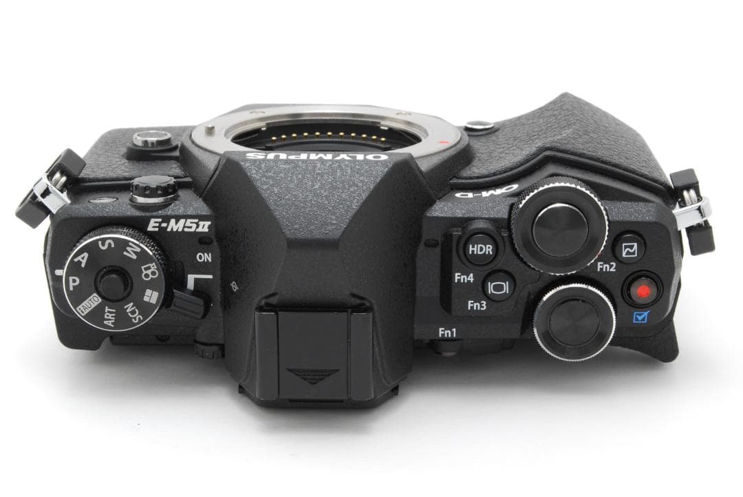 【美品・500ショット】OLYMPUS OM-D E-M5 MarkII ボディ