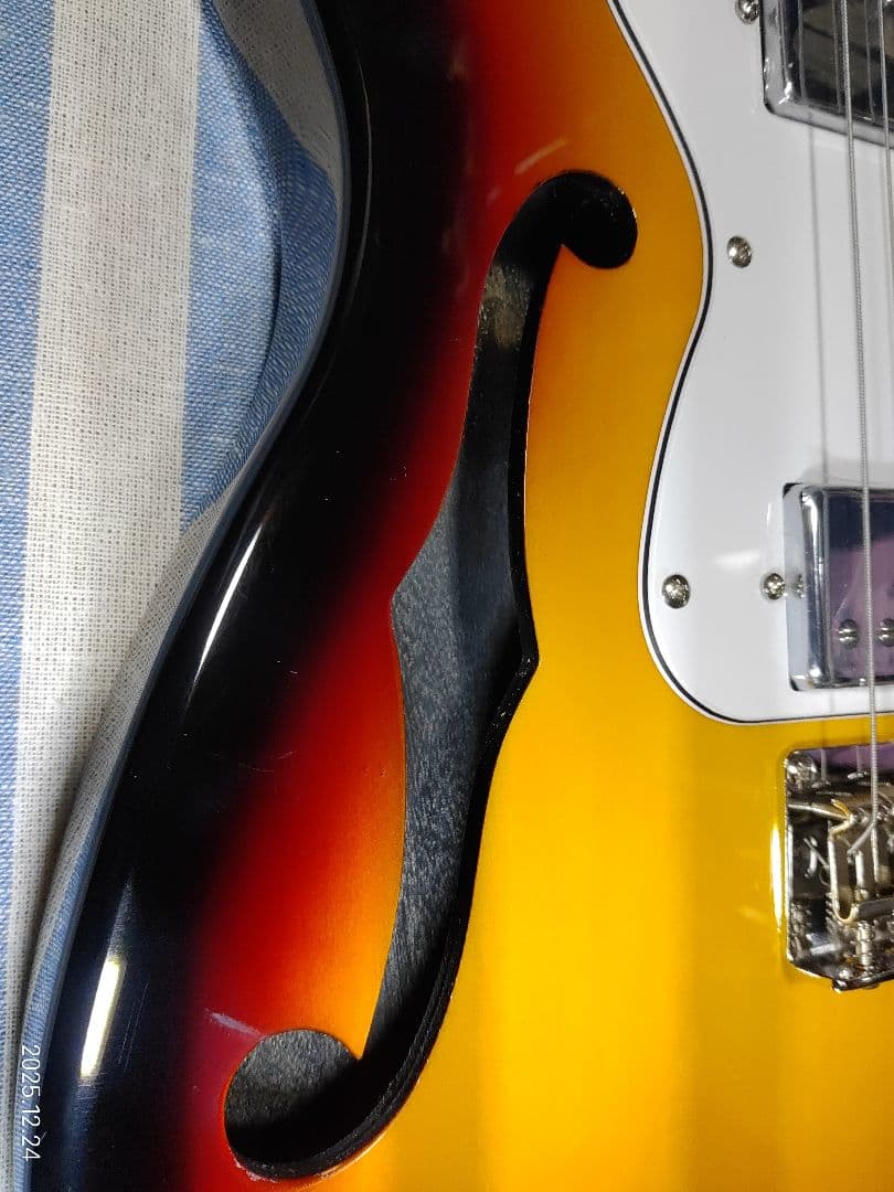 DonnerのテレキャスターThinlineタイプのDJC-1000Sほぼ未使用