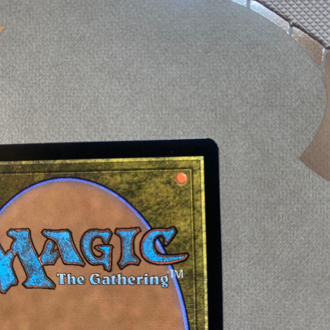 MTG ヨウジンボウ/孤独　Secret Lair 英語