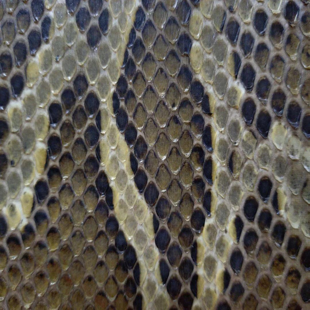 沖縄三線 本蛇皮 強化張 真壁型 爪付 ハードケース付 ウマ（駒）付