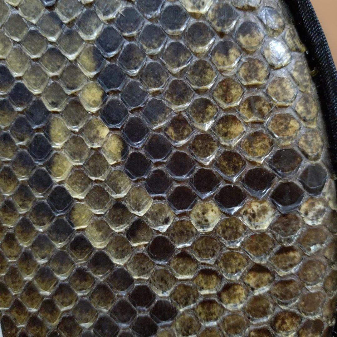 沖縄三線 本蛇皮 強化張 真壁型 爪付 ハードケース付 ウマ（駒）付