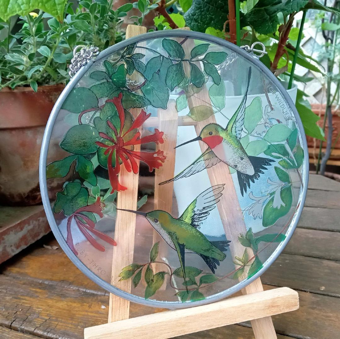 トロント・ステンドグラス Hummingbird ハミングバード ハチドリ