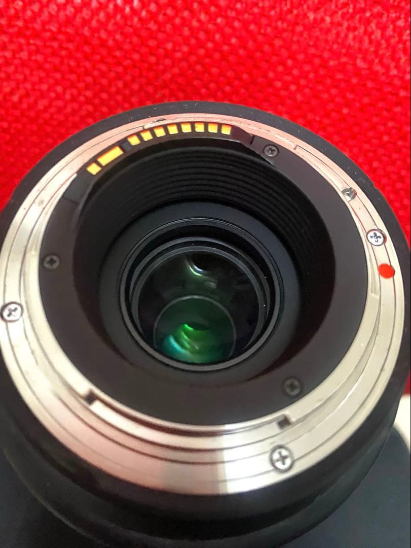 【Canon用】sigma 150-600 contemporary