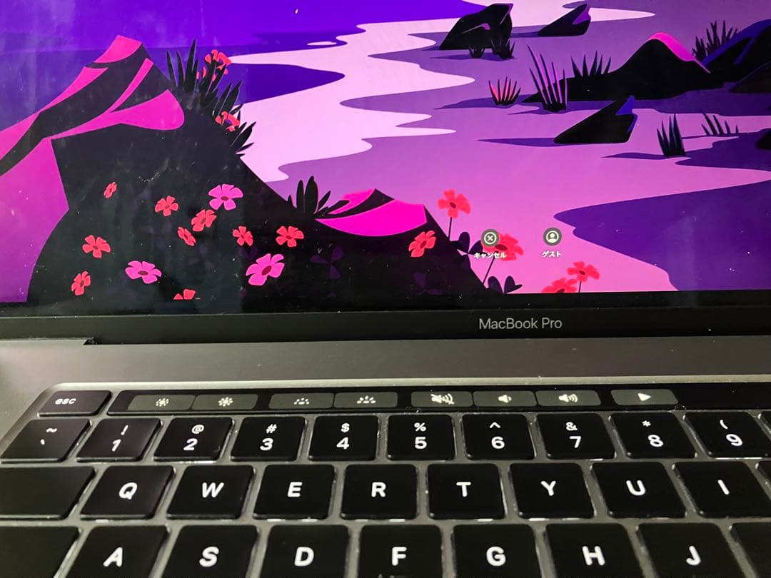 （美品）MacBookPro Core i9 SSD 1TB