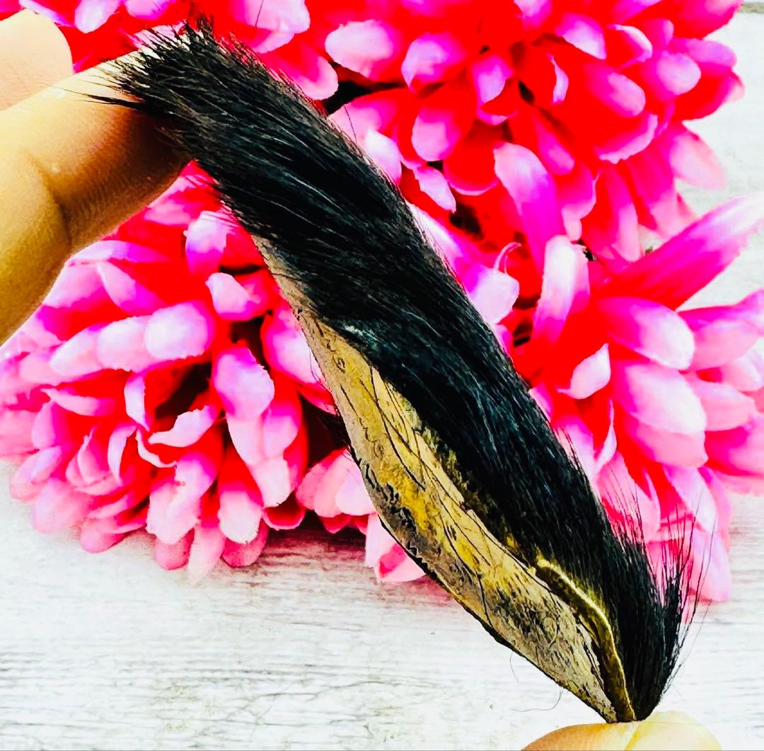 スカル タイガー 額 ヤントラ保護　ギャンブル、幸運のお金、宝くじ　プラクルアン