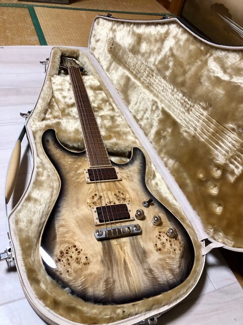 ギター Fibenare Roadmaster custom