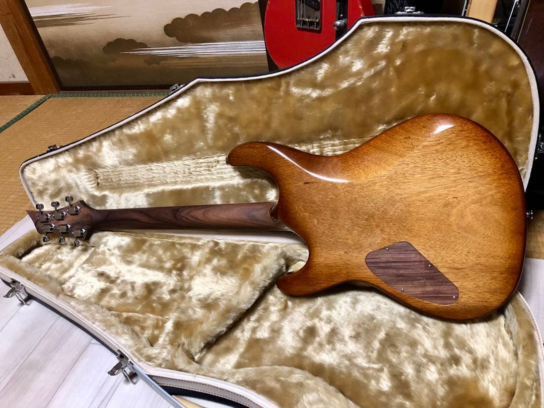 ギター Fibenare Roadmaster custom