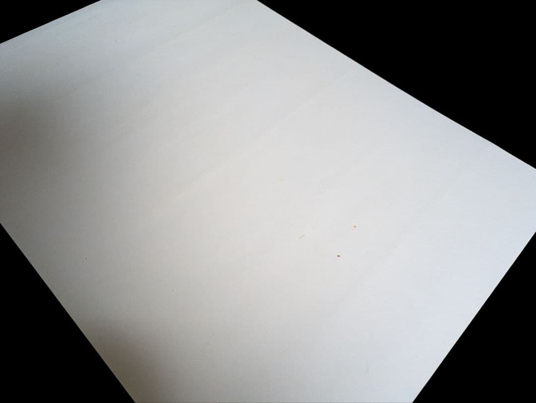 【非売品レア】ドラゴンクエストVIII 空と海と大地と呪われし姫君 販促ポスター