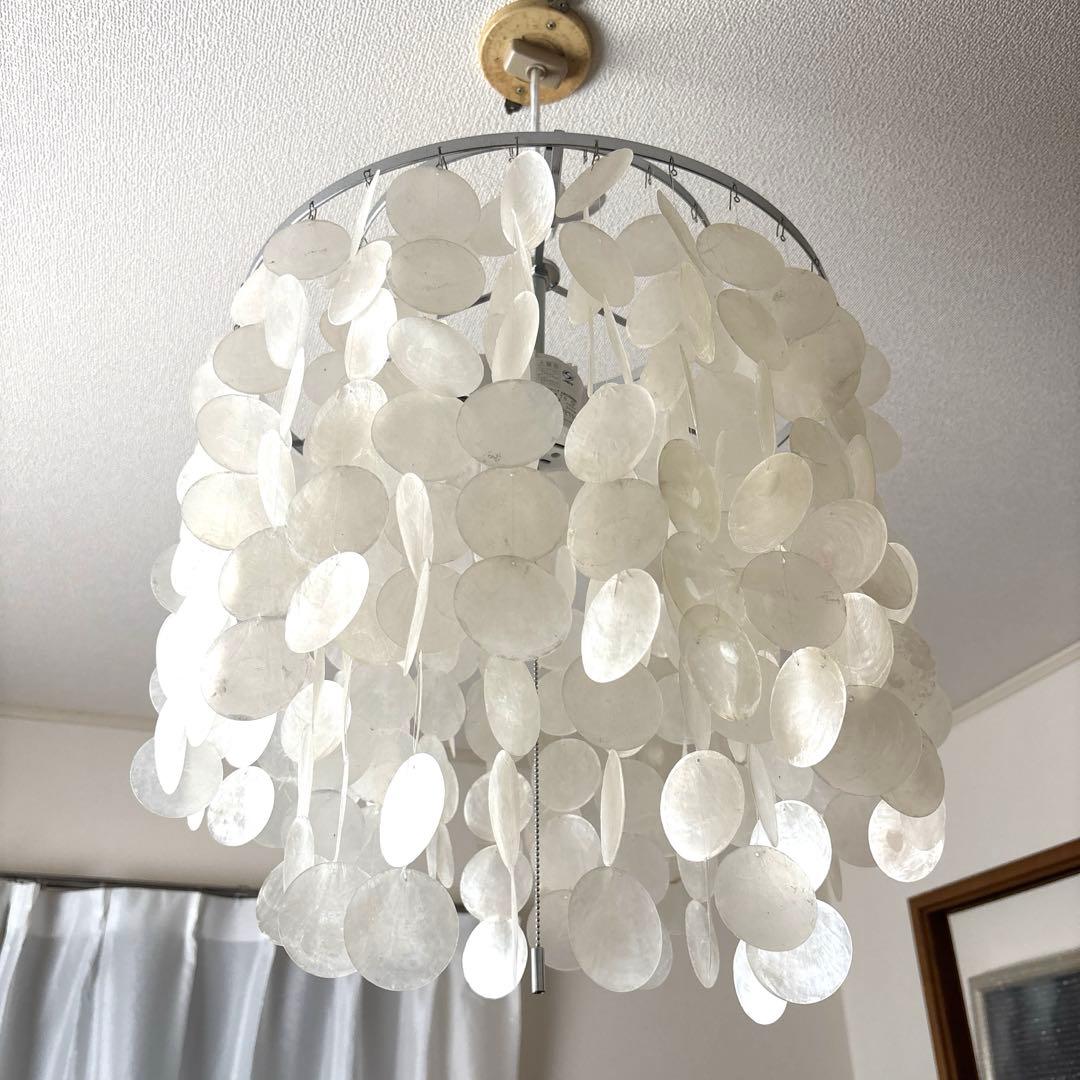 〔ビア〕ハモサ　カマクラ hamosa 貝殻　シェル照明　ライト