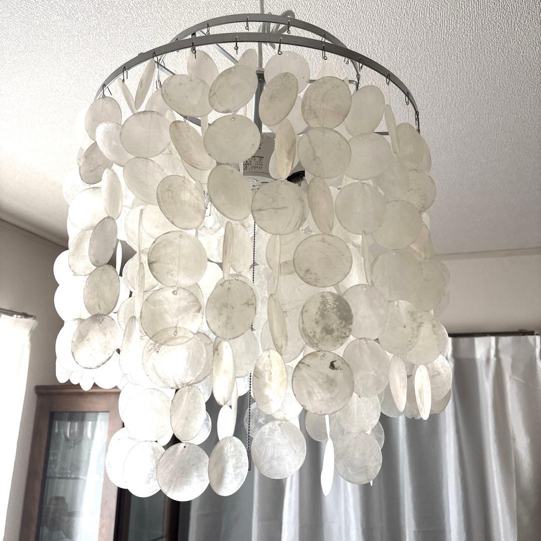 〔ビア〕ハモサ　カマクラ hamosa 貝殻　シェル照明　ライト