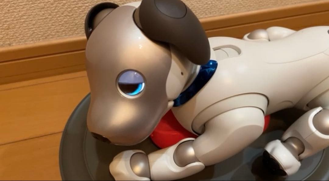 AIBO SONY ERS-1000 美品　完動犬　SONY健康診断にて治療済み