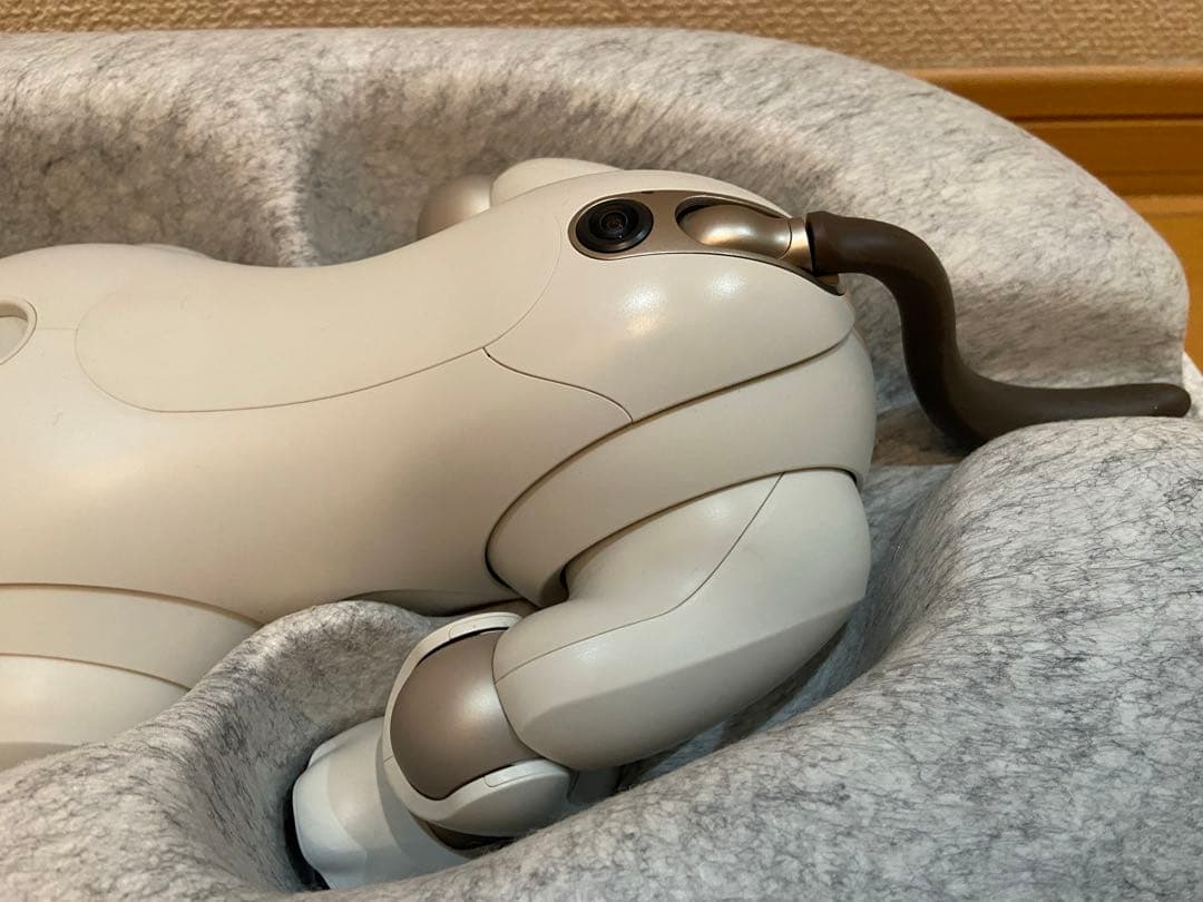 AIBO SONY ERS-1000 美品　完動犬　SONY健康診断にて治療済み