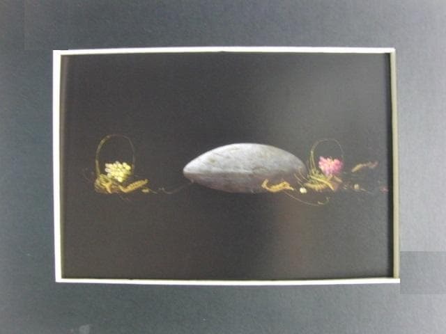 百瀬郷志、【葡萄など】、希少な額装用画集より、新品額装付、状態良好