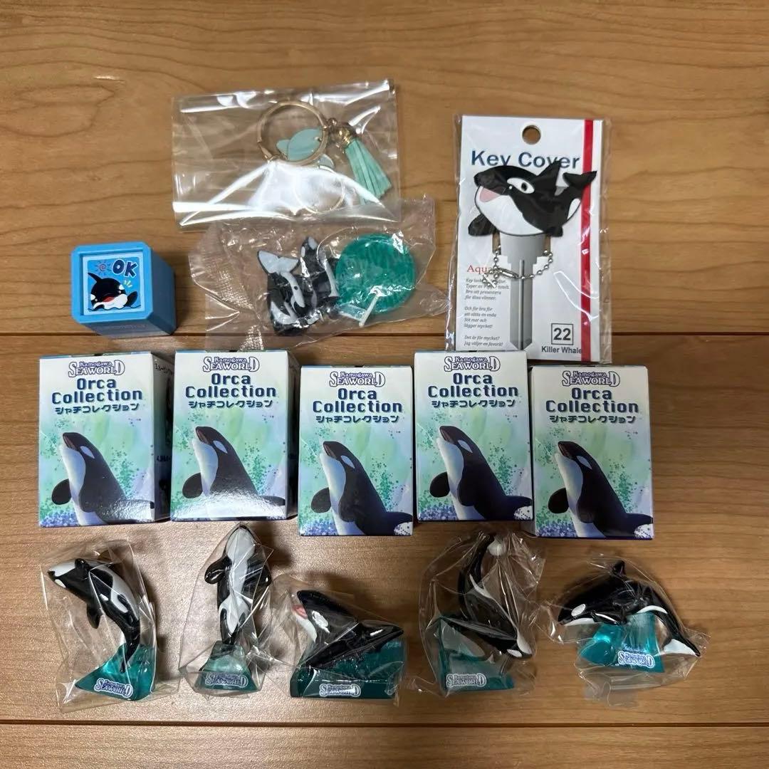 鴨川シーワールド　シャチセット