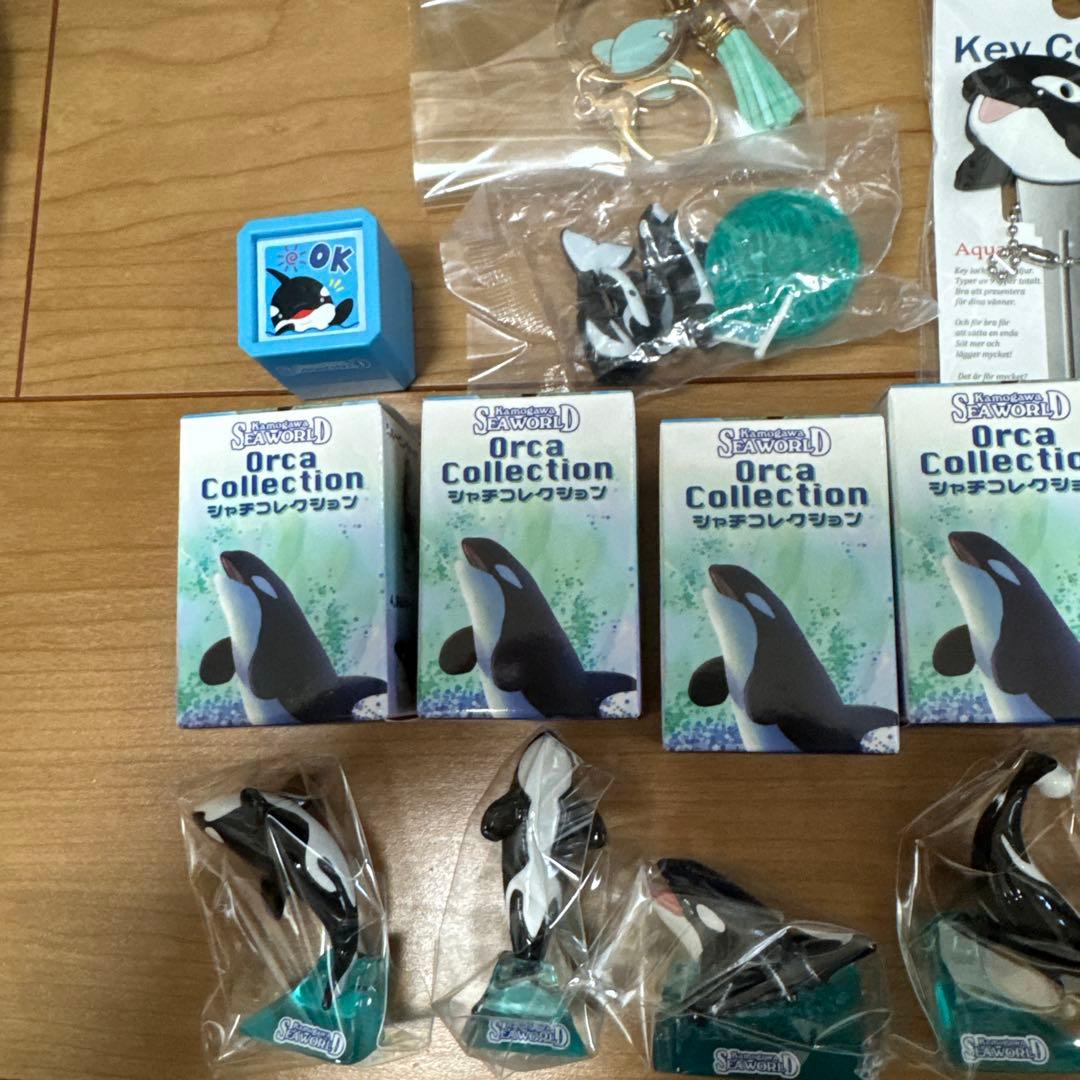 鴨川シーワールド　シャチセット