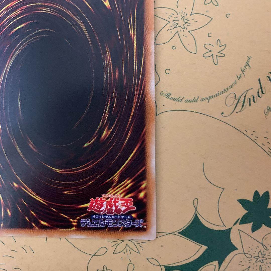遊戯王 確認用