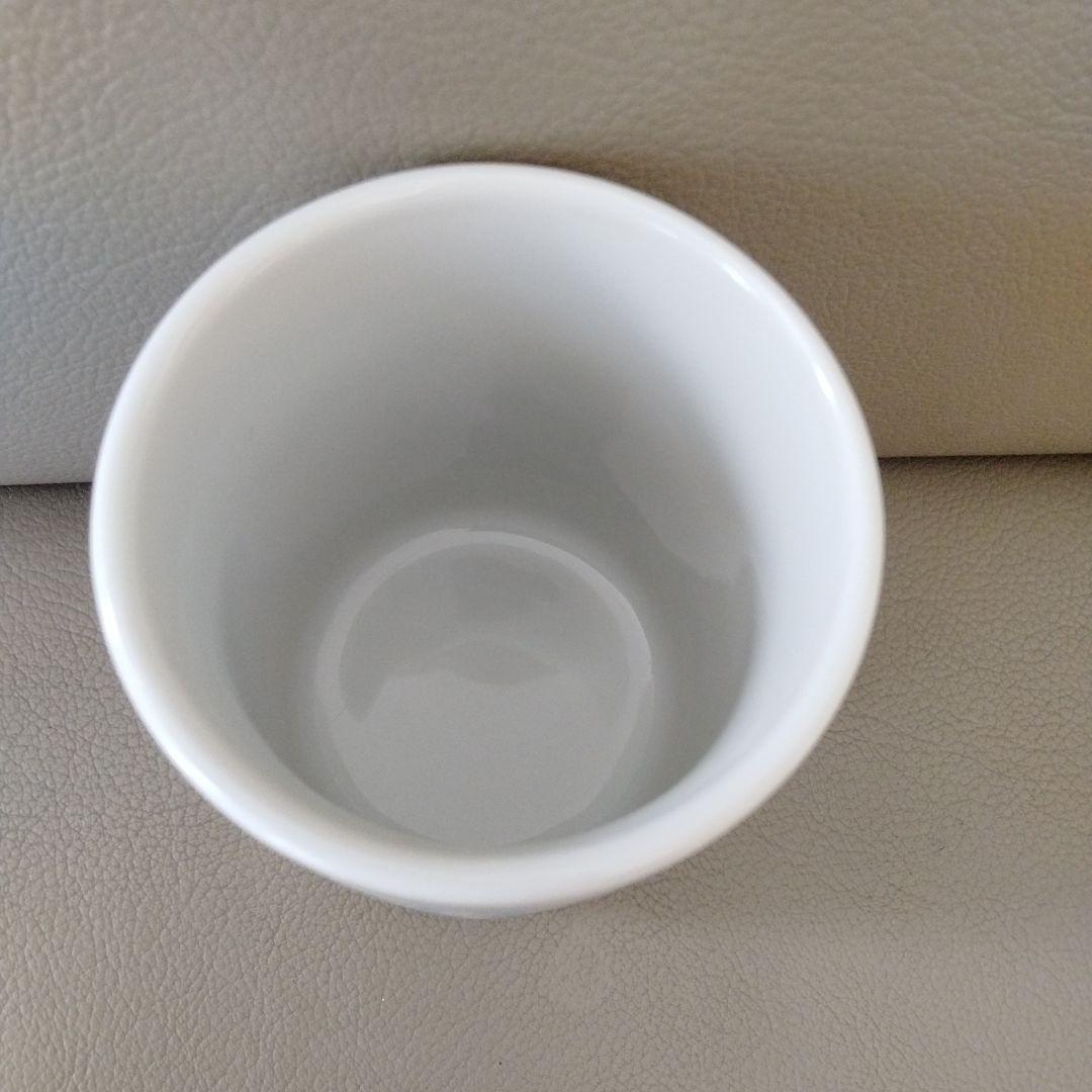 ジャンプフェスタ2022 鬼滅の刃 炭治郎と義勇の痣発現湯のみ