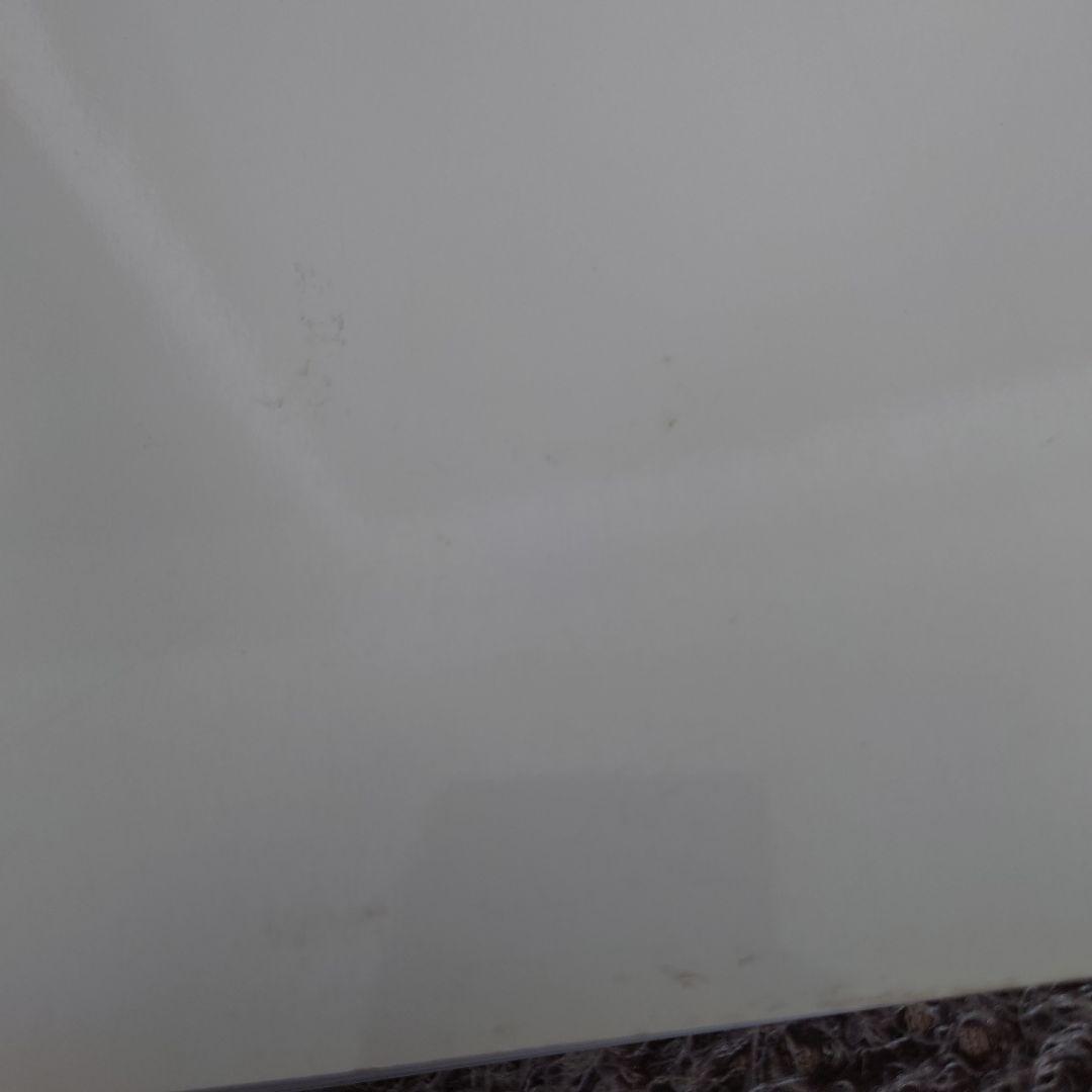 ★APE エイプ 初期 1999年 BAPEMANIA ベイプマニア カタログ★