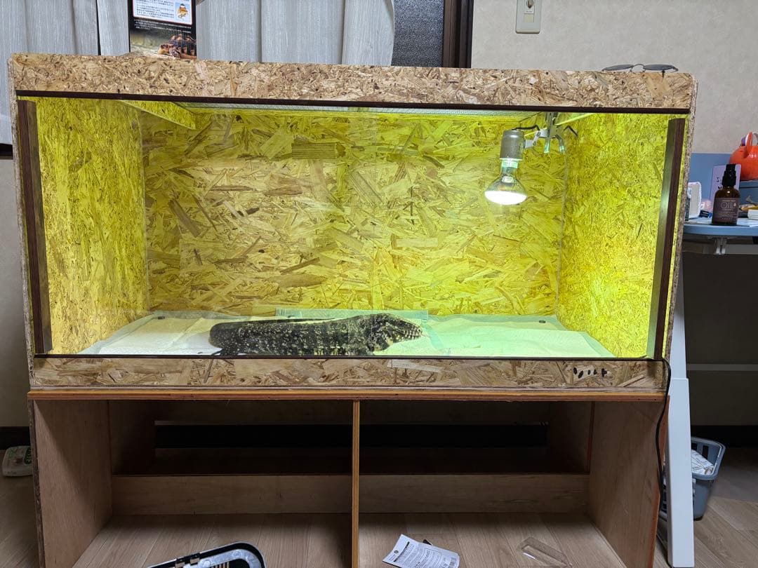 蛍　1506045 前面窓まで15cm お急ぎ