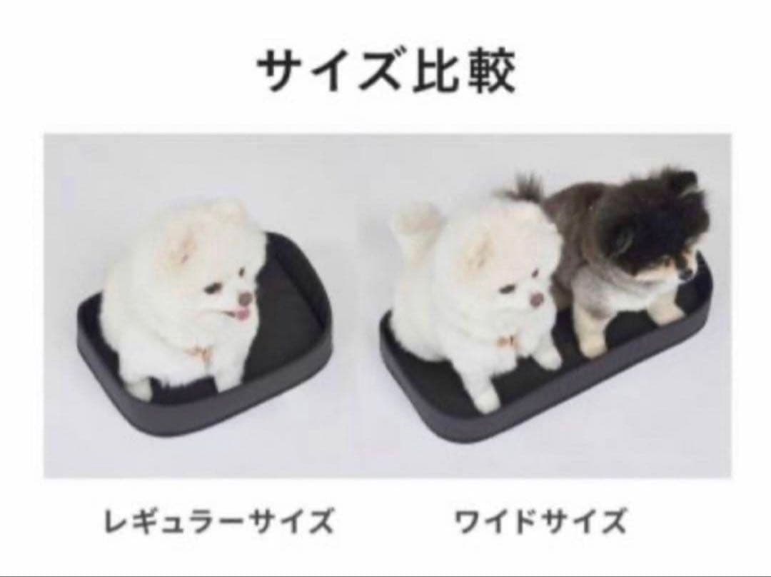 新品★エアバギー 3ウェイバックパックキャリー ワイドサイズブラック