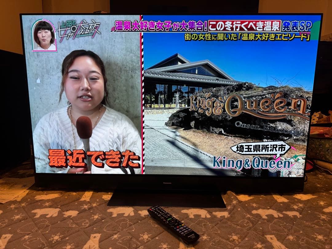 Panasonic有機ELテレビ　55型 2019年　焼き付きあり
