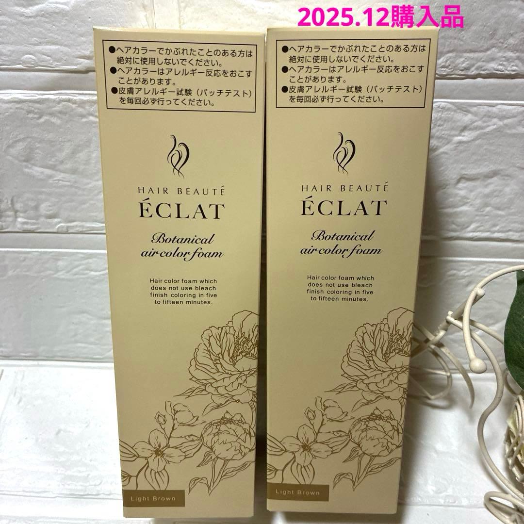 ヘアボーテ エクラ ボタニカル エアカラーフォームup ライトブラウン 2本